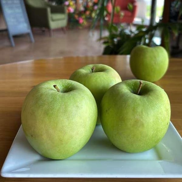 Four green apples on a white rectangular plate, with a blurred restaurant interior in the background.
