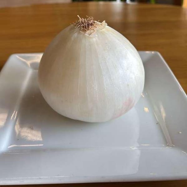 A whole white onion with roots on a white square plate, against a wooden table.