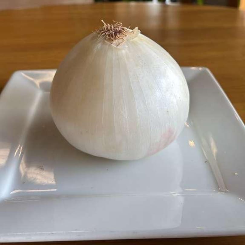 A whole white onion with roots on a white square plate, against a wooden table.
