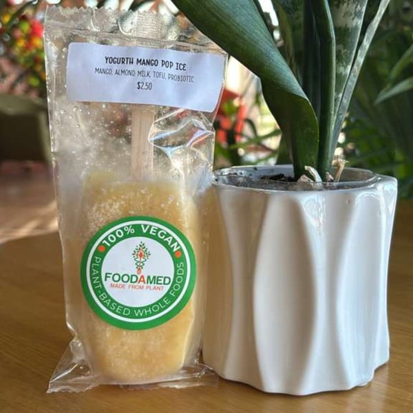 A Foodamed vegan yogurt mango pop ice in packaging next to a potted plant.