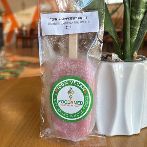 A packaged Foodamed strawberry yogurt pop ice with a green vegan label next to a potted plant.