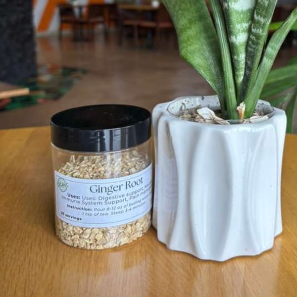 A jar of dried ginger root sits next to a potted snake plant on a wooden table.